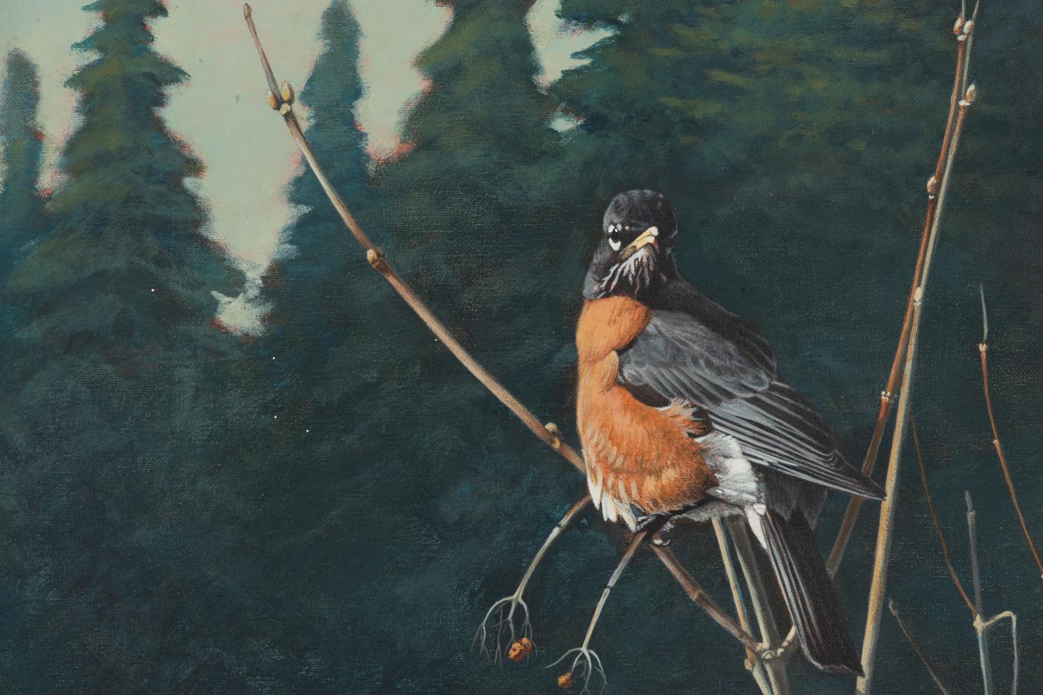 Robin