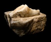 A Roman Marble Fragment of a Left Foot