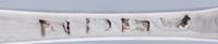 A Pair of George III Silver Berry Spoons