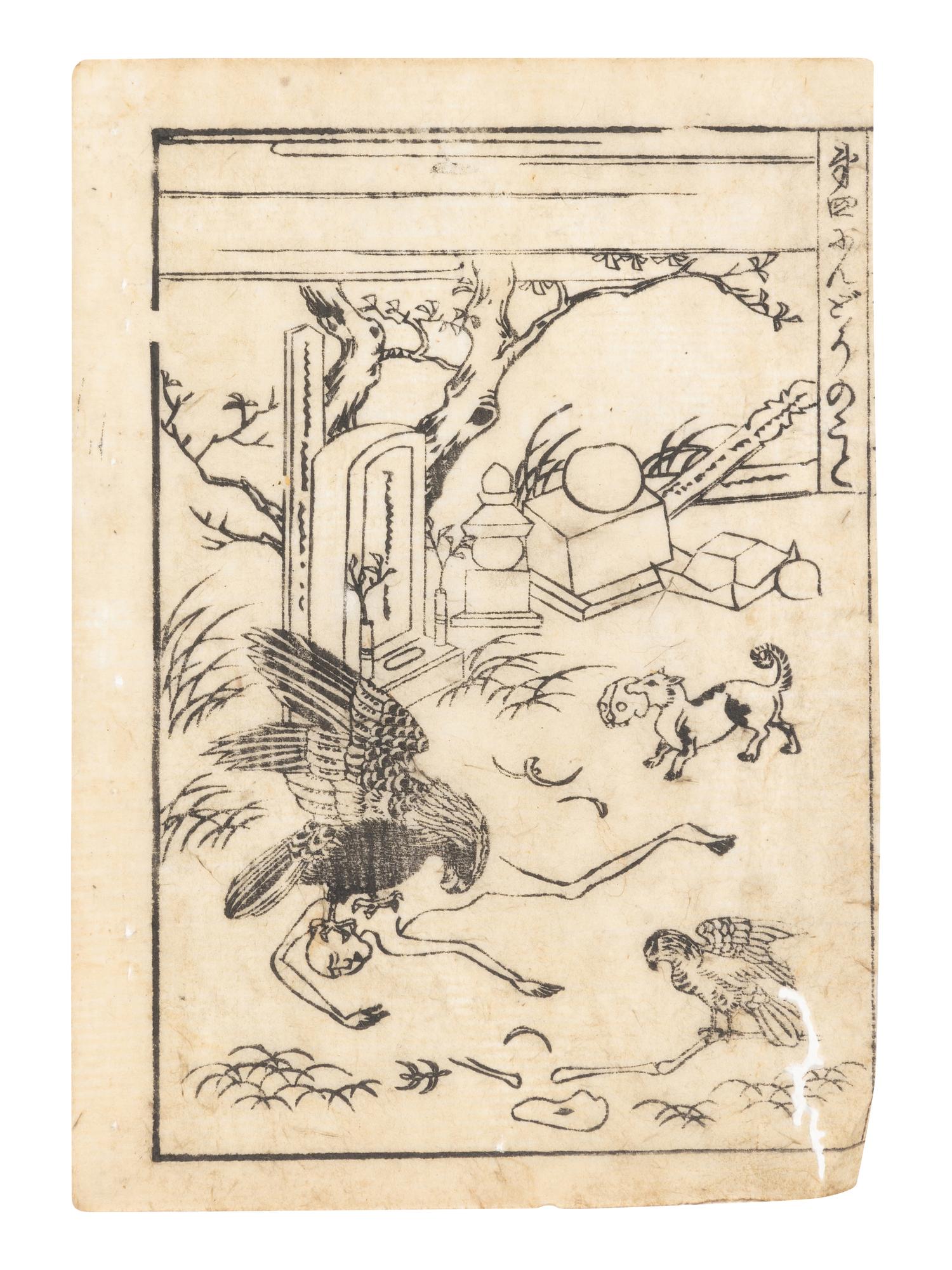 15 Illustrated Books and Loose Leaves