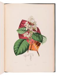 HOWARD, John Eliot (1807-1883). The Quinology of the East Indian Plantations . London: L. Reeve & Co.,, 1869-1876.