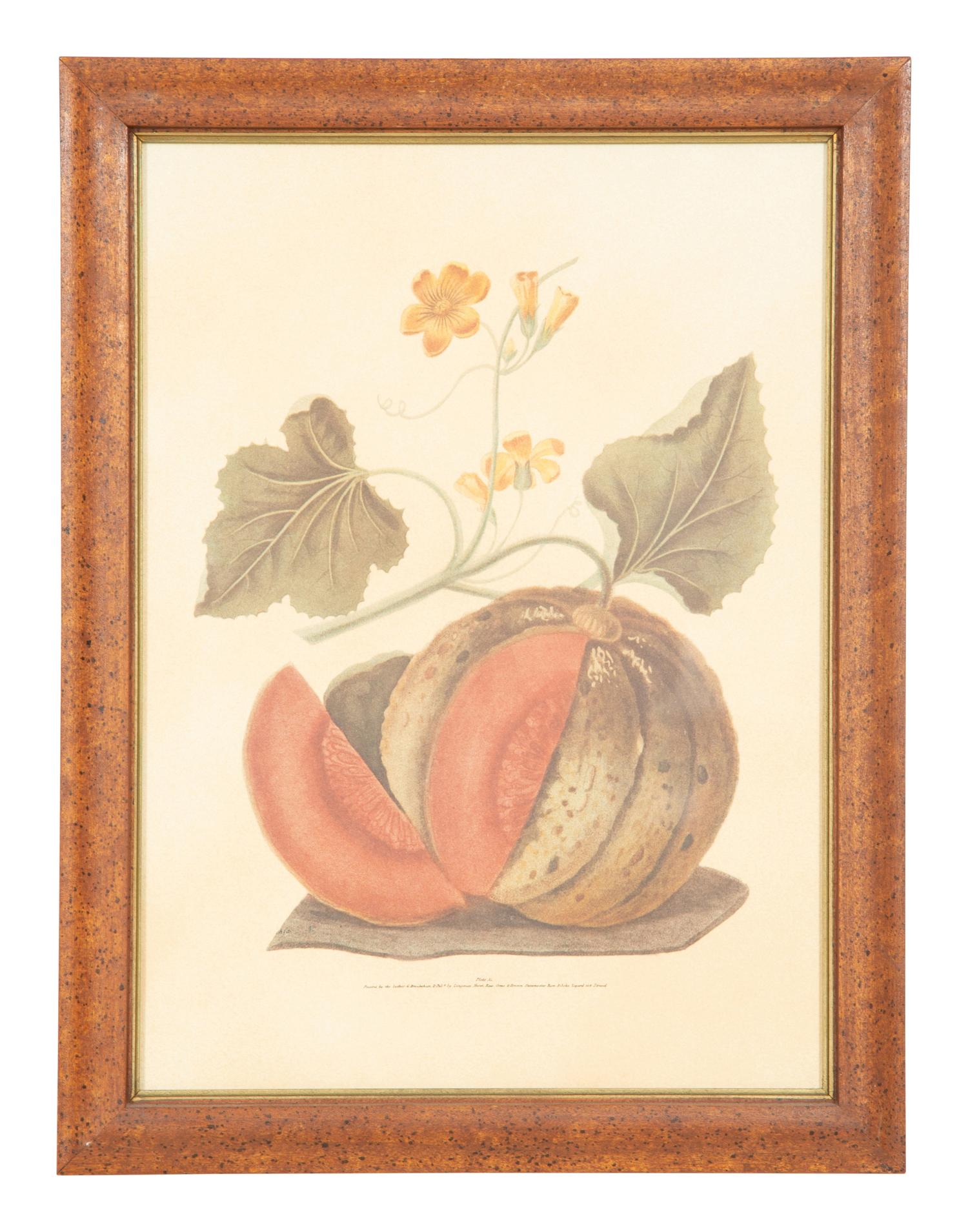 Two George Brookshaw Pomona Britanica Plates