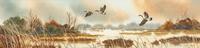 Canadas Flying