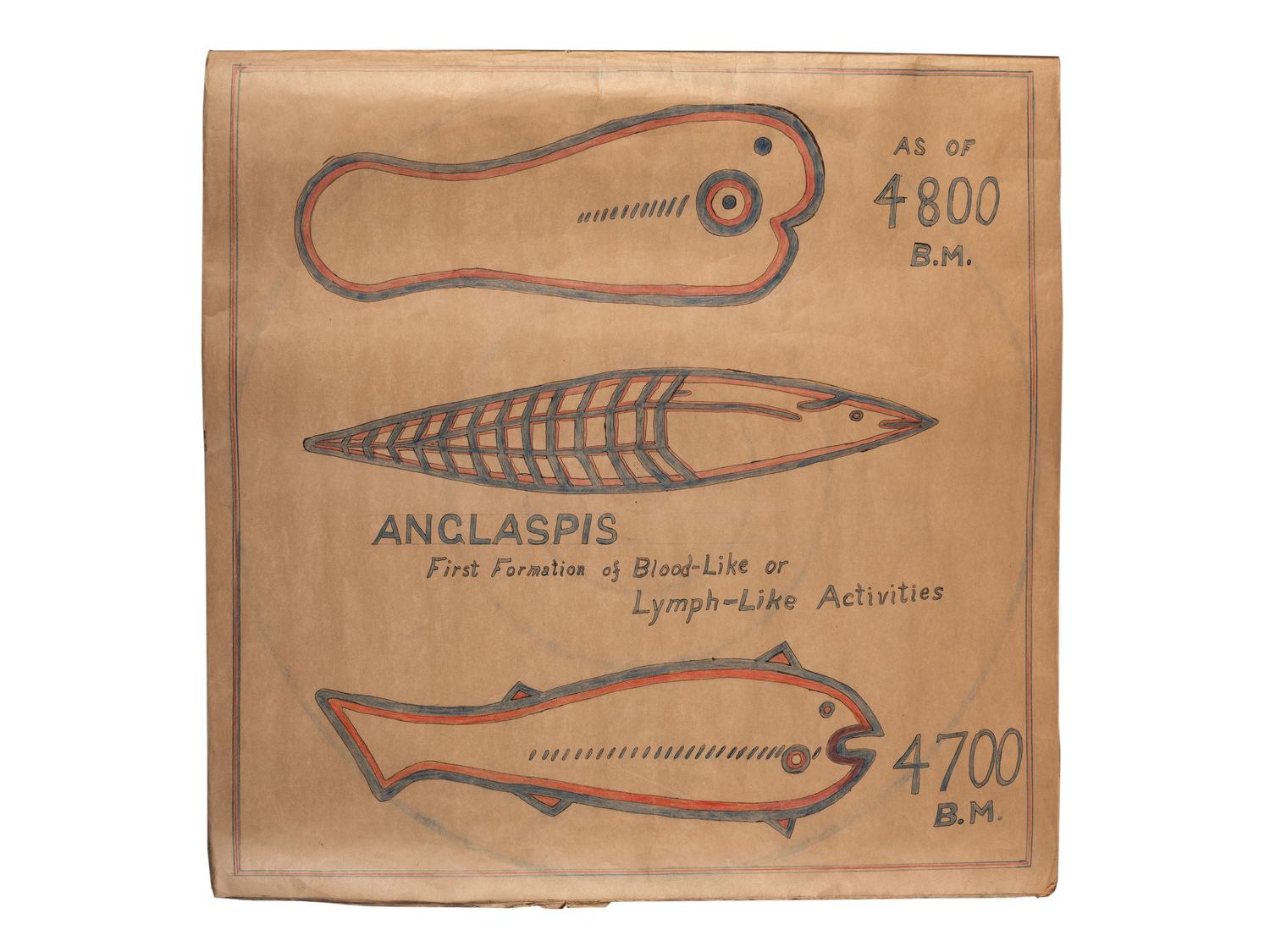 A Bound Set of Folk Art Scientific Drawings