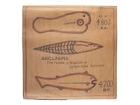 A Bound Set of Folk Art Scientific Drawings