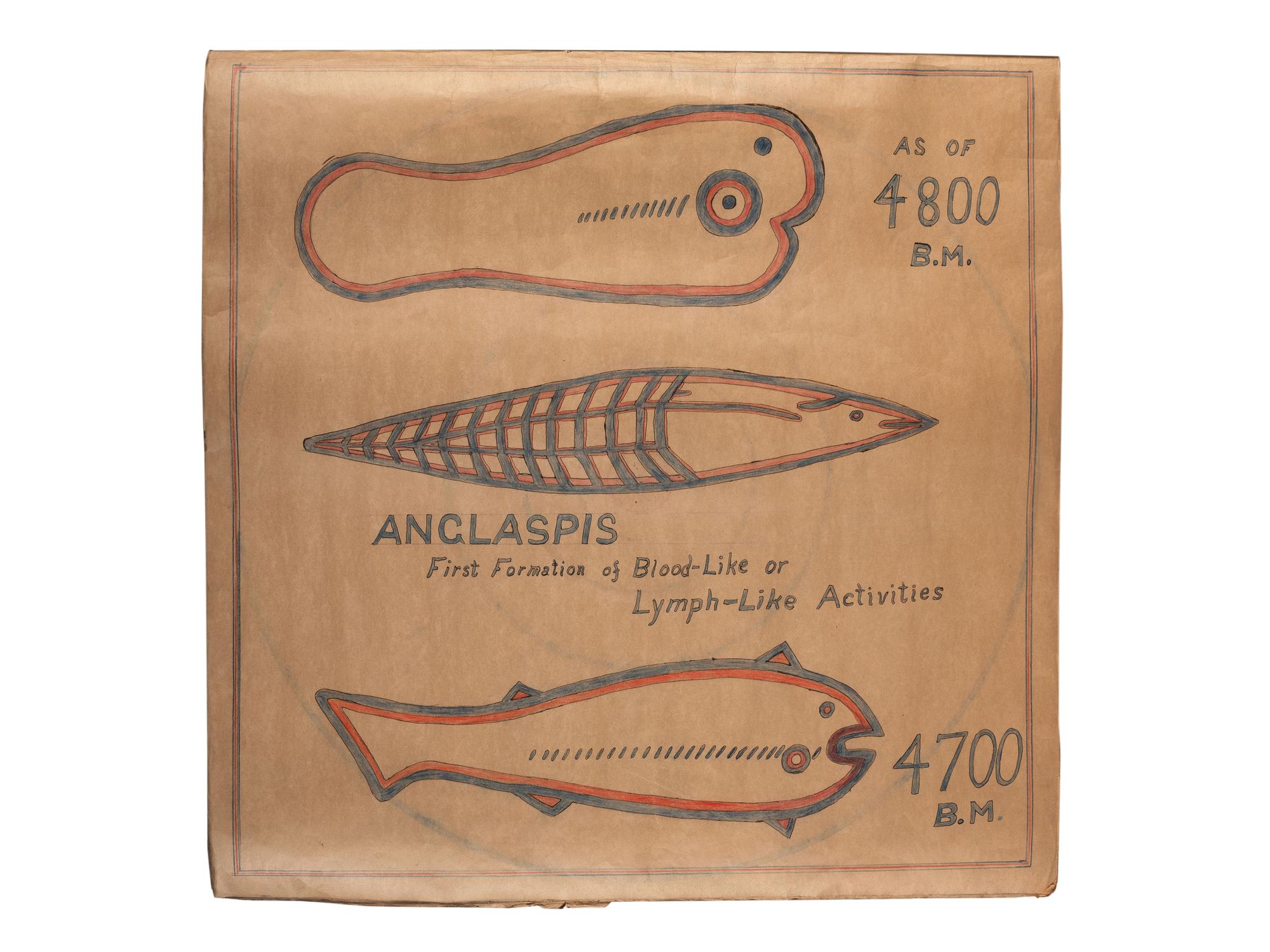 A Bound Set of Folk Art Scientific Drawings