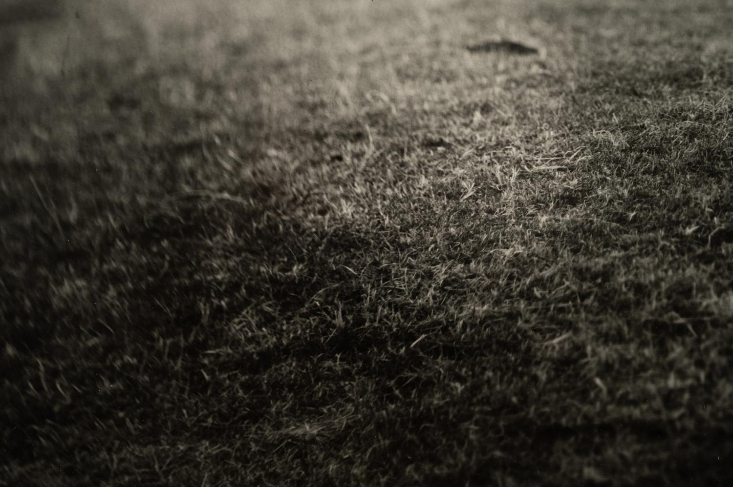 Georgia Untitled (Dodd's Farm), from the series Georgia