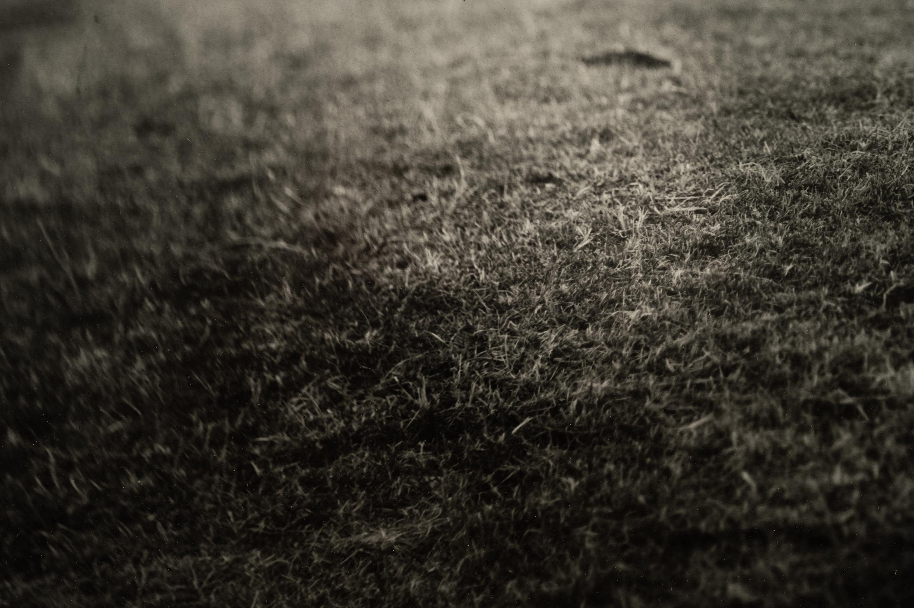Georgia Untitled (Dodd's Farm), from the series Georgia