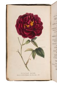 HOGG, Thomas (1771-1841). A Concise and Practical Treatise on the Growth and Culture of the Carnation...Tulip, Hyacinth, Rose and other Flowers . London: G. and W.B. Whittaker, 1822.