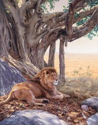Savanna Sanctuary