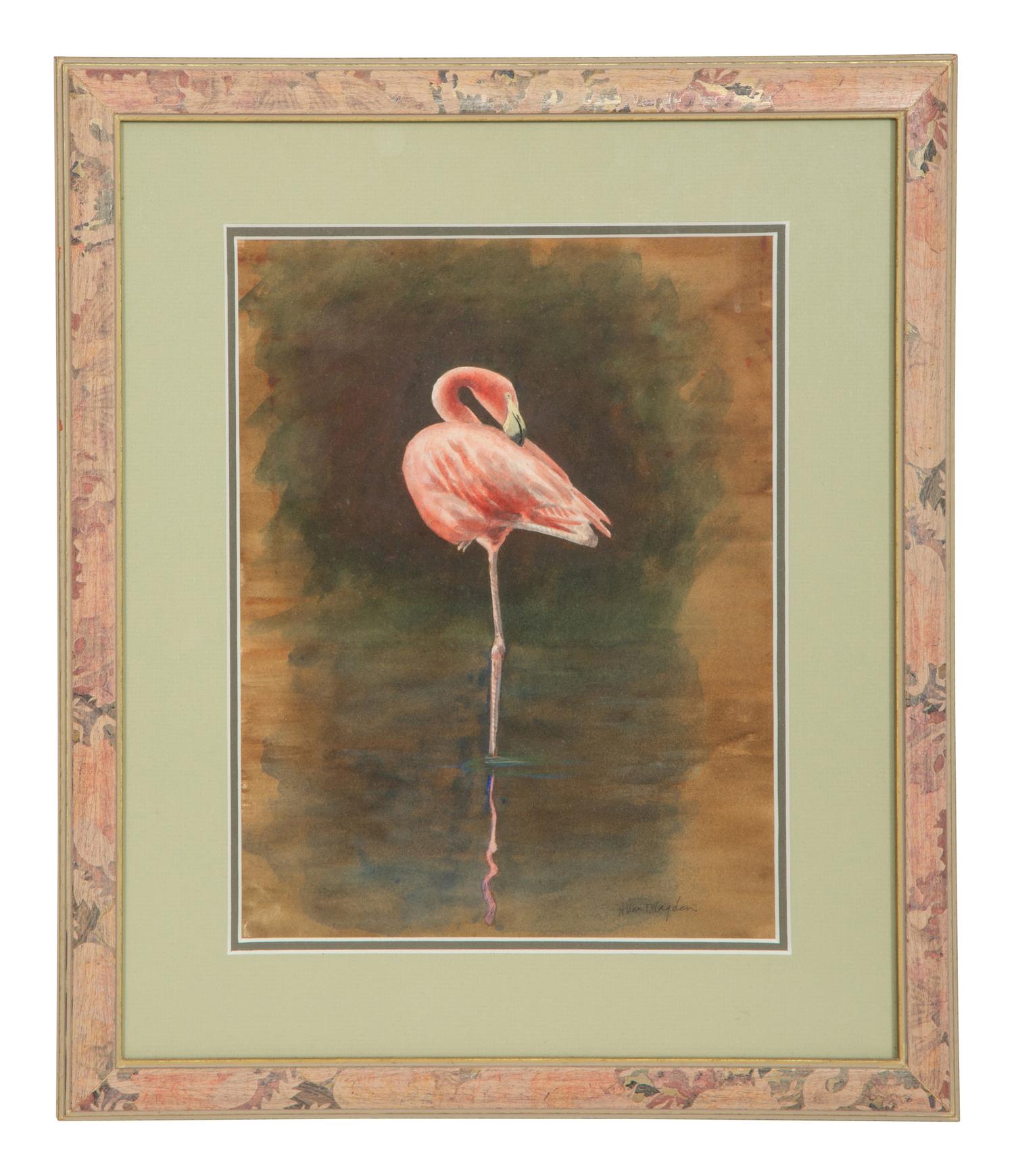 Flamingo