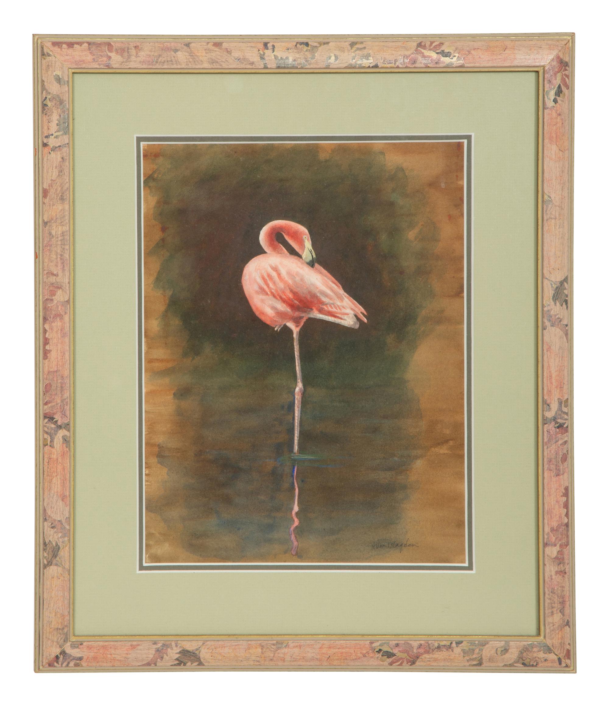 Flamingo