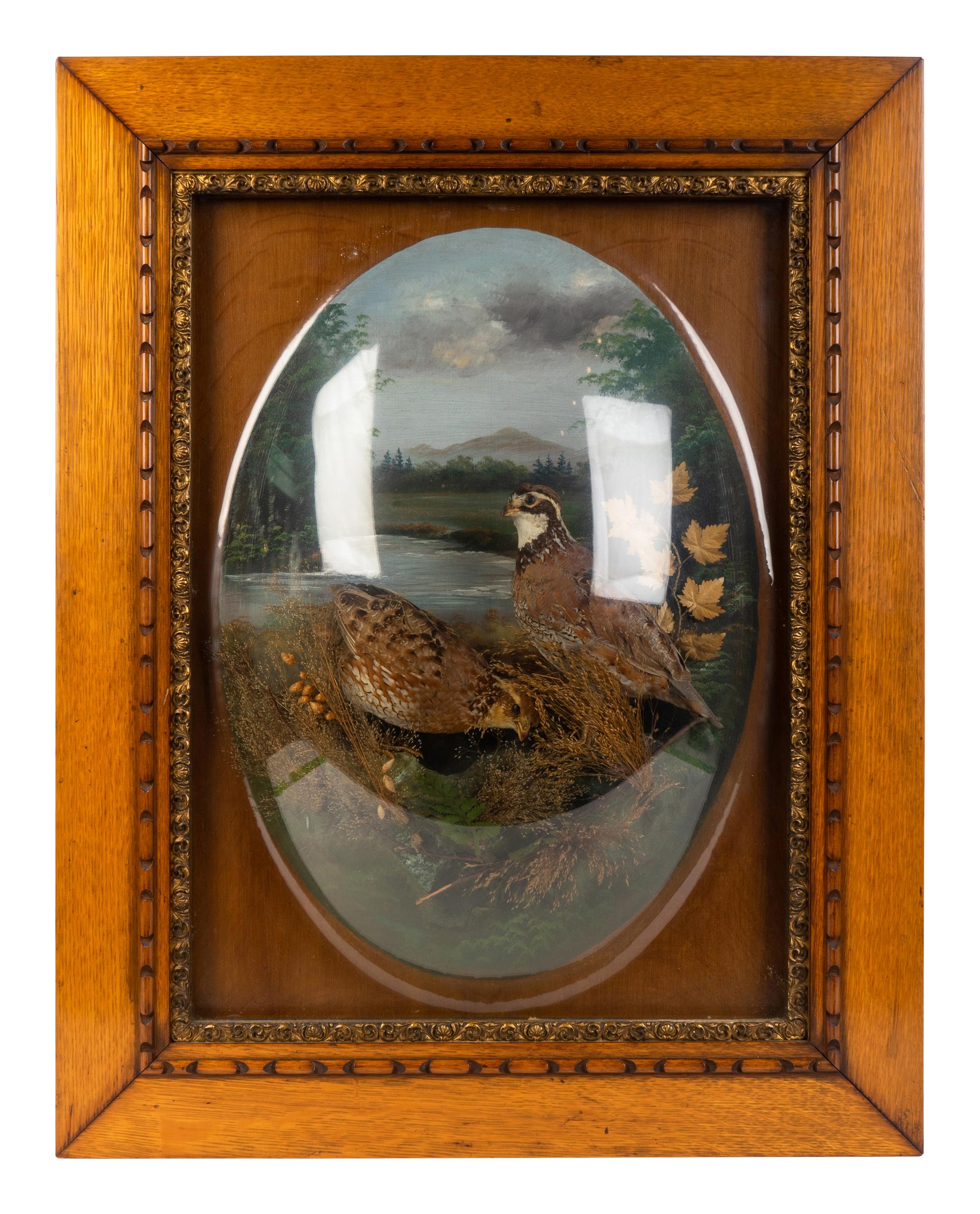 A Victorian Taxidermy Aviary in Bubble Glass Oak Frame — 19TH CENTURY