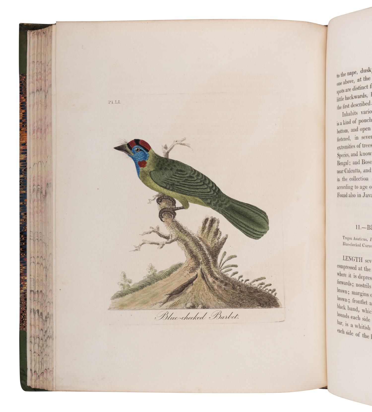 [NATURAL HISTORY - GEOLOGICAL SOCIETY OF LONDON]. Transactions of the Geological Society, Established November 13, 1807 . London: William Phillips for the Society, 1811-1821.