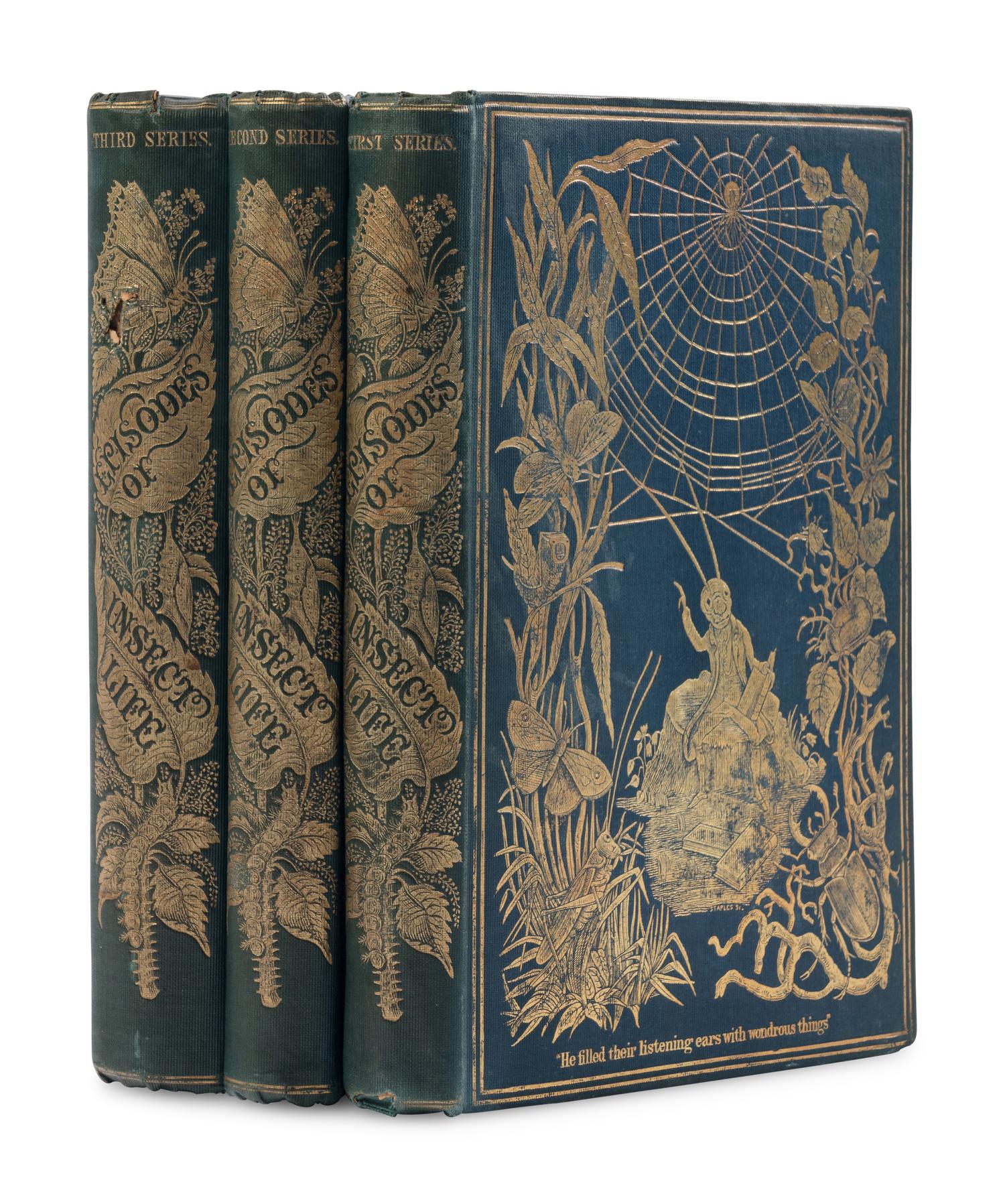 [NATURAL HISTORY]. BUDGEN, Louise M. Episodes of Insect Life. London: Reeve, Benham, and Reeve, 1849-1851.