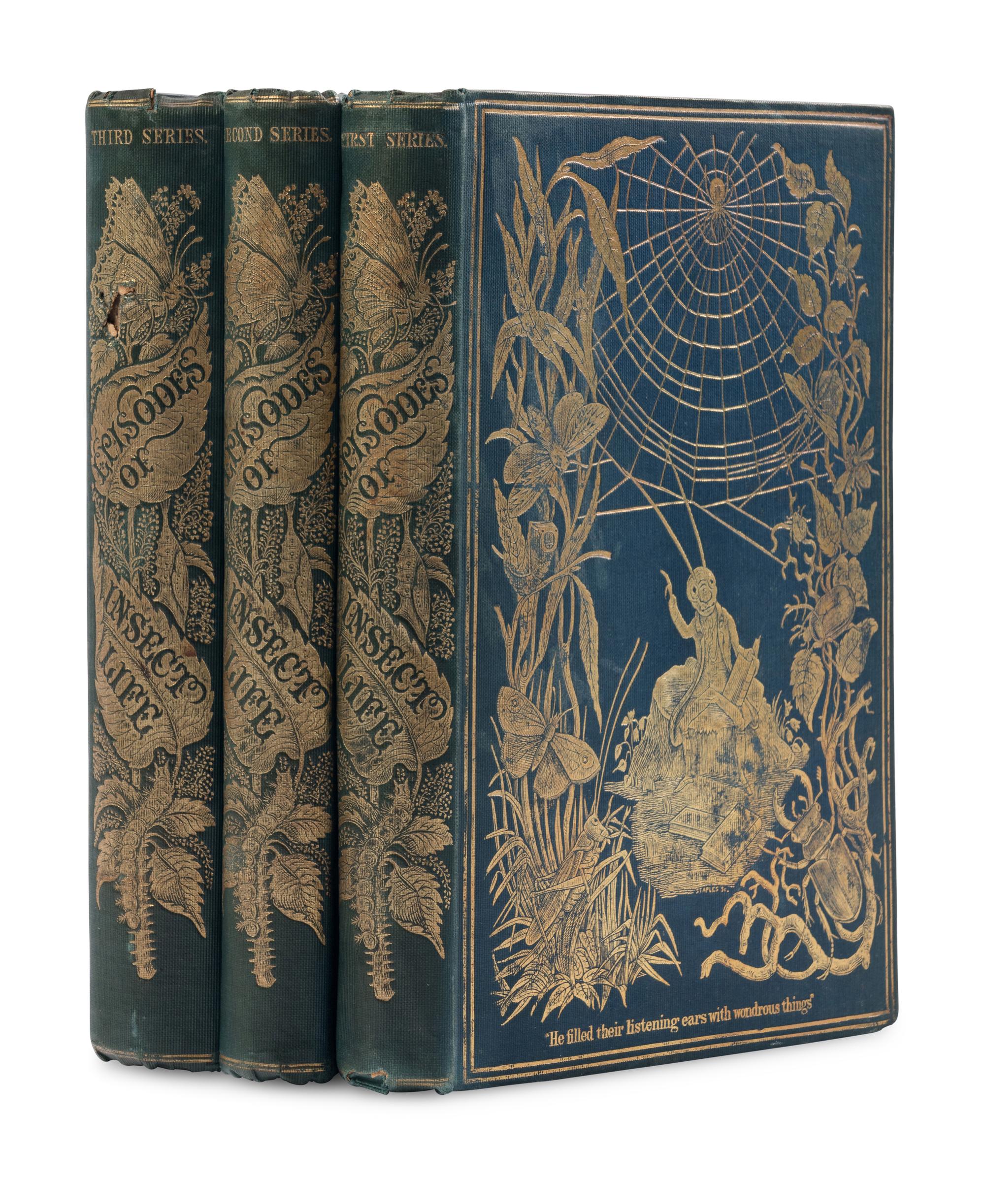 [NATURAL HISTORY]. BUDGEN, Louise M. Episodes of Insect Life. London: Reeve, Benham, and Reeve, 1849-1851.