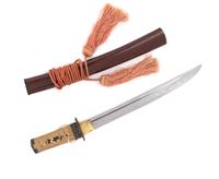 A Japanese Wakazashi