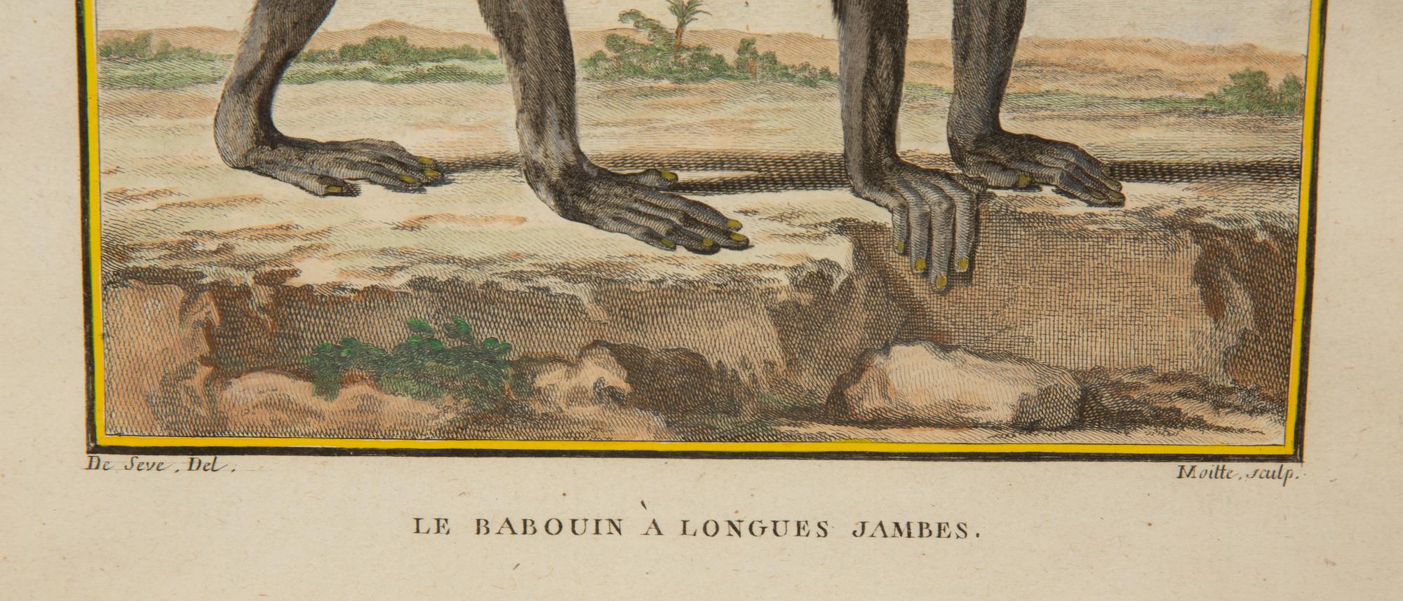 Four Framed Copper Plate Engravings from Le Comte de Buffon, Quadrupeds from Histoire Naturelle