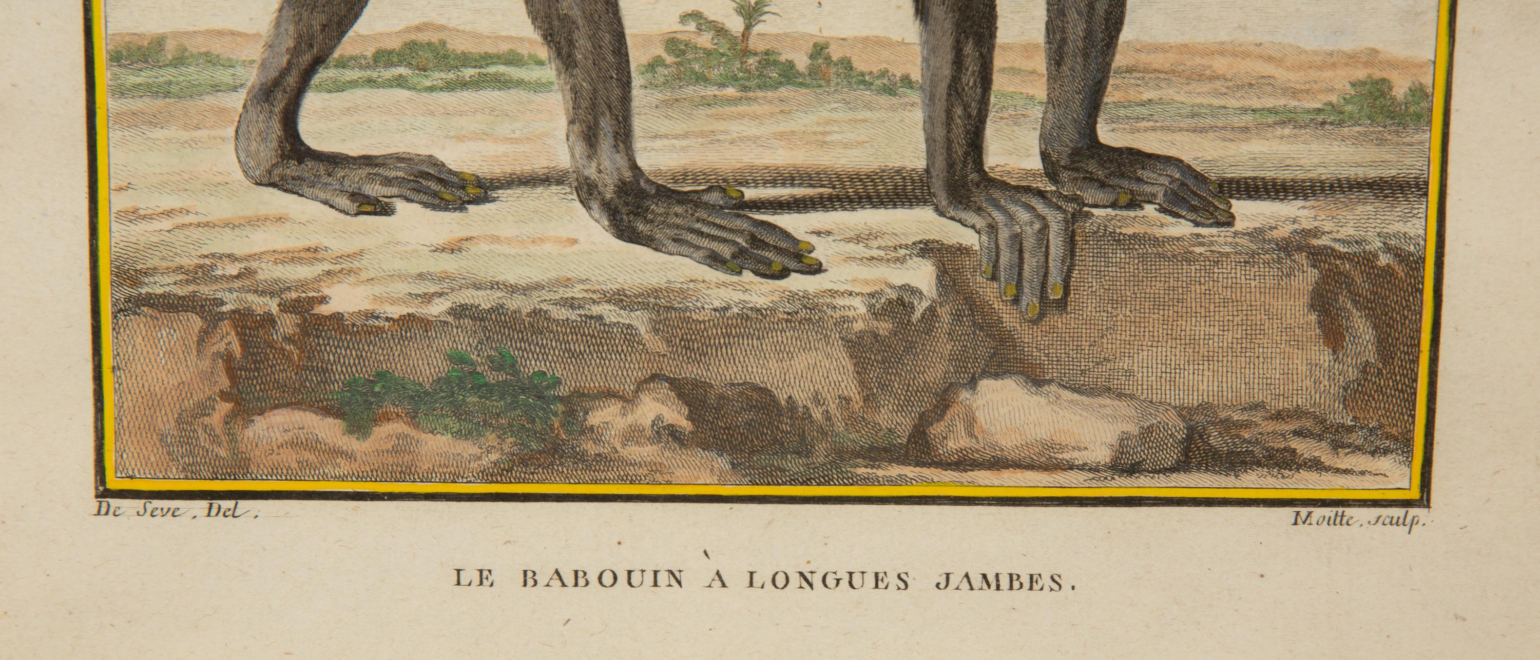Four Framed Copper Plate Engravings from Le Comte de Buffon, Quadrupeds from Histoire Naturelle
