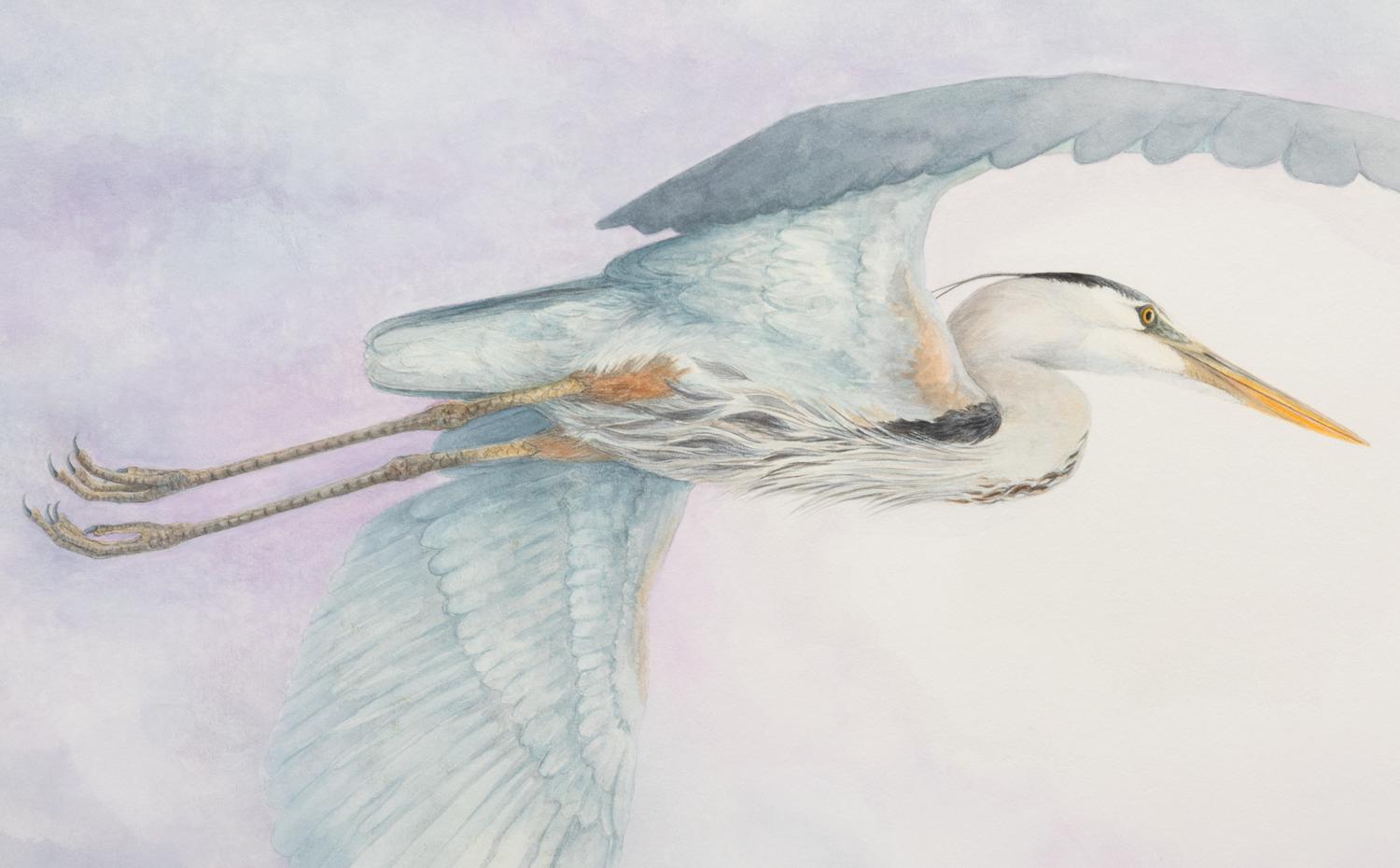 Carpe Diem - Great Blue Heron , 1994