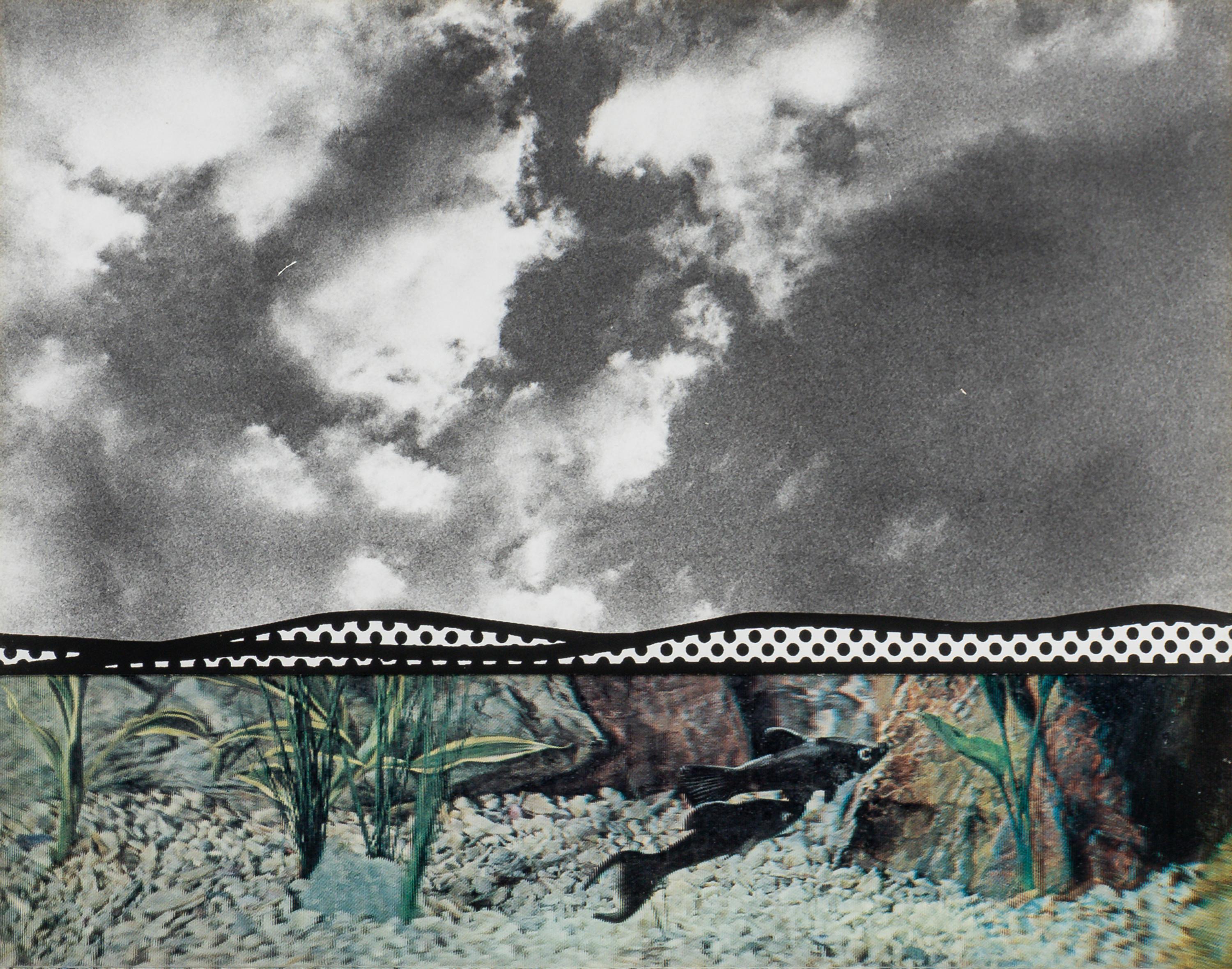 Fish and Sky (from Ten from Leo Castelli )