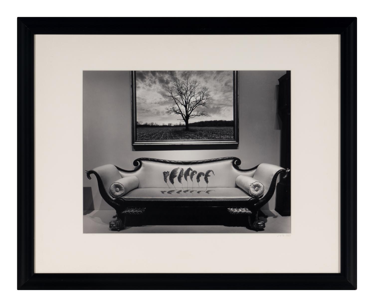 Untitled (Leaves Over Couch), 1987