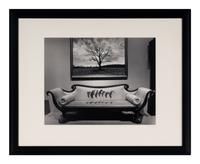 Untitled (Leaves Over Couch), 1987