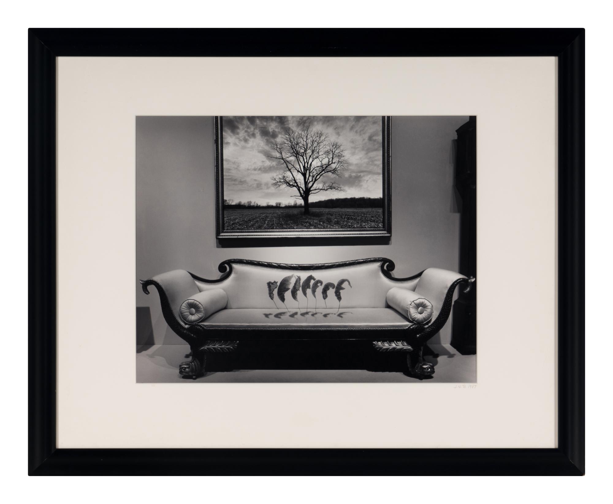 Untitled (Leaves Over Couch), 1987