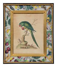 A Set of Twelve Hand-Colored Engravings of Parrots from A Natural History of Uncommon Birds by George Edwards (English, 1694-1773)