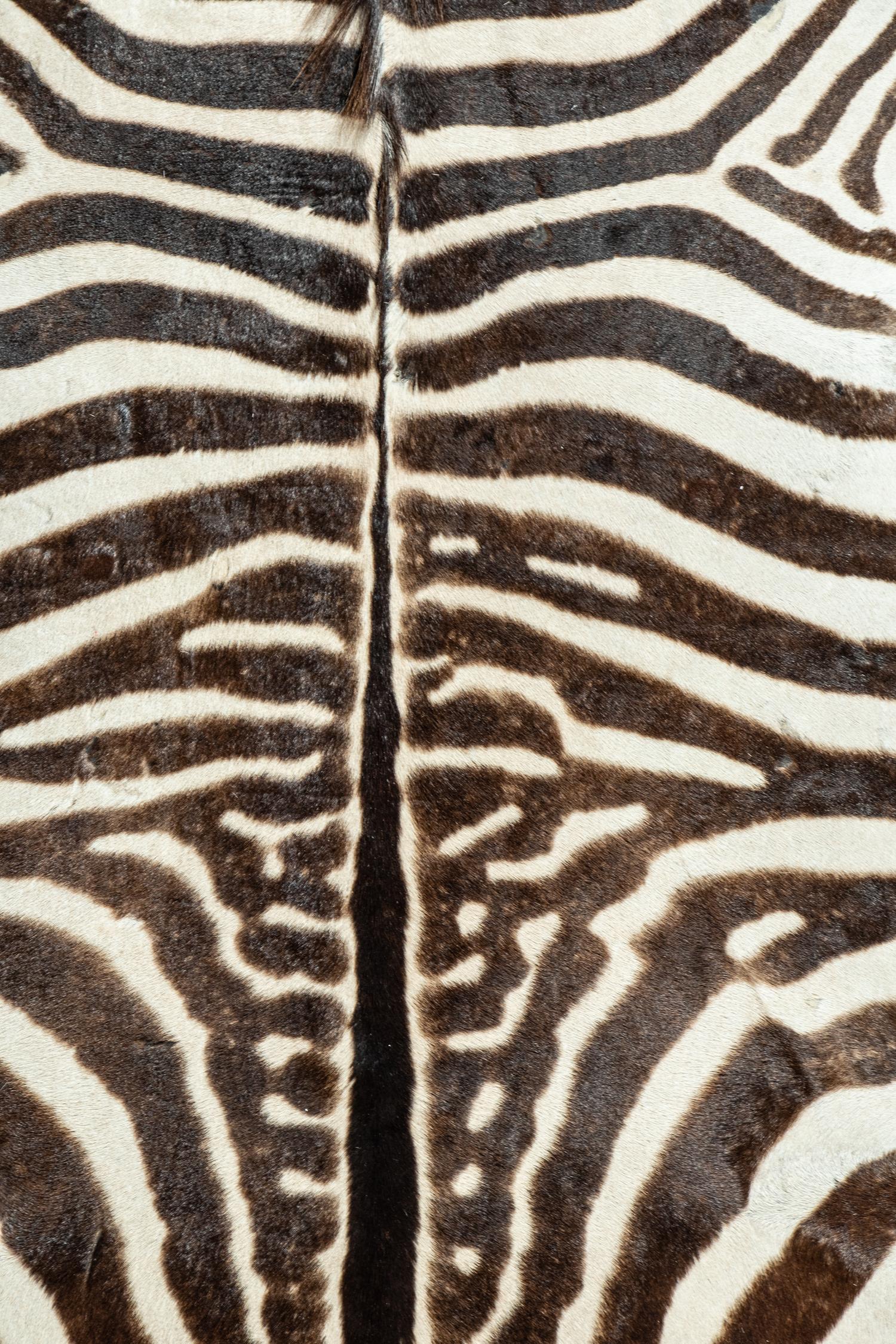 A Zebra Hide Rug