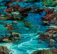 Tide Pool Fantasy