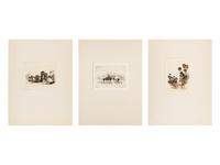 Three Works: Oasis of Seven Palms, Calif-, Palm Springs and Palm Canyon near Palm Springs