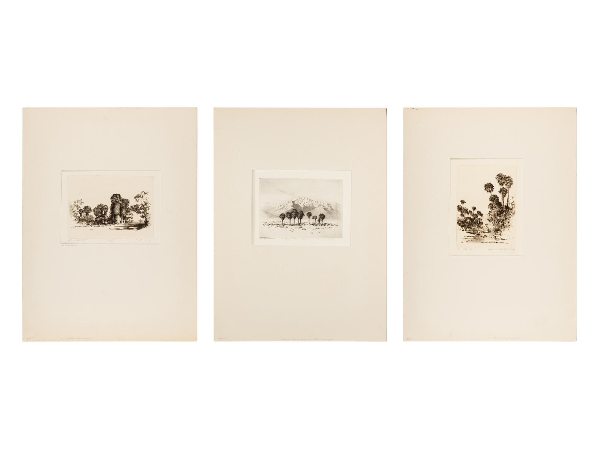 Three Works: Oasis of Seven Palms, Calif-, Palm Springs and Palm Canyon near Palm Springs