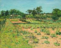 The Vegetable Garden