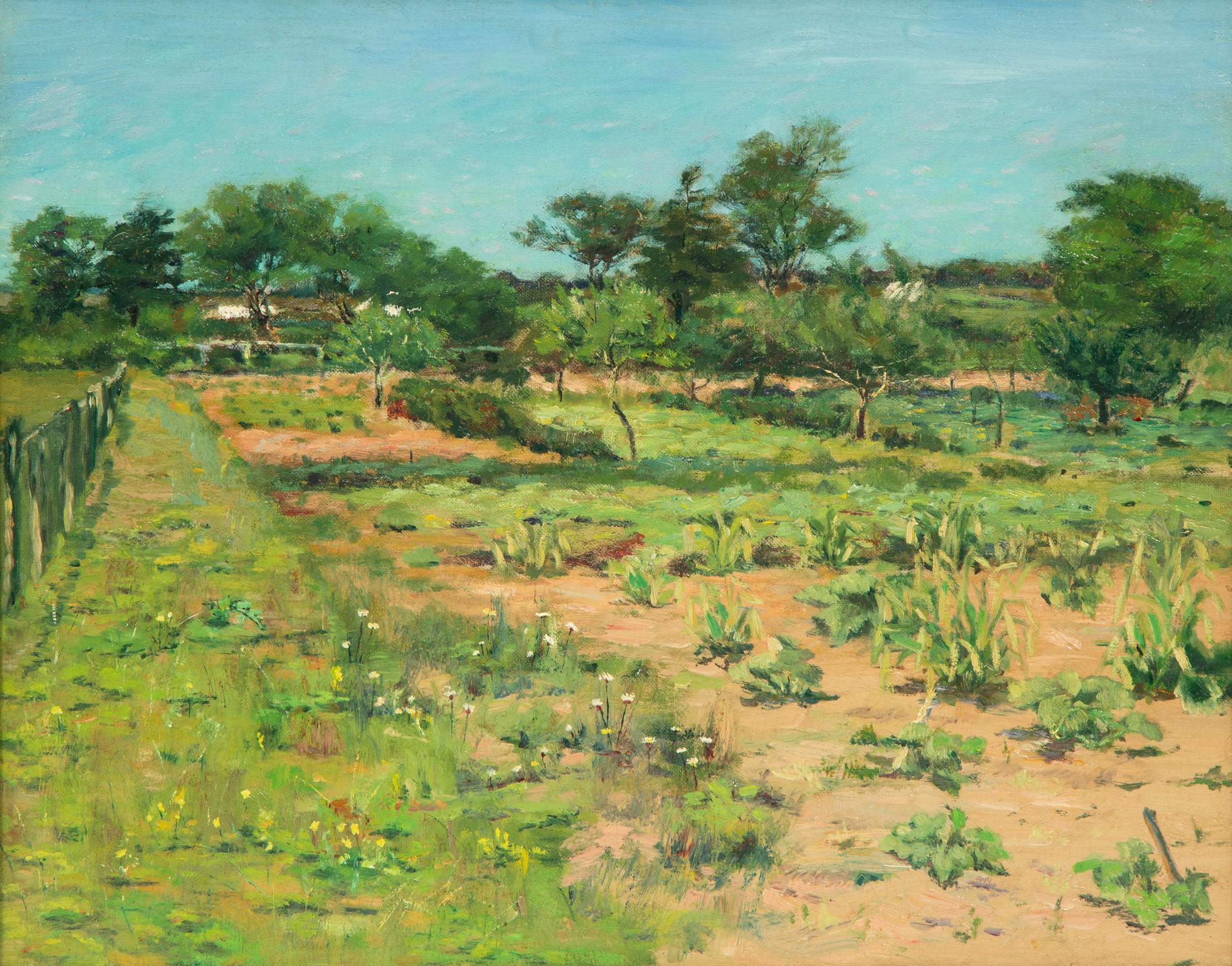 The Vegetable Garden