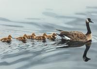 Mother Goose