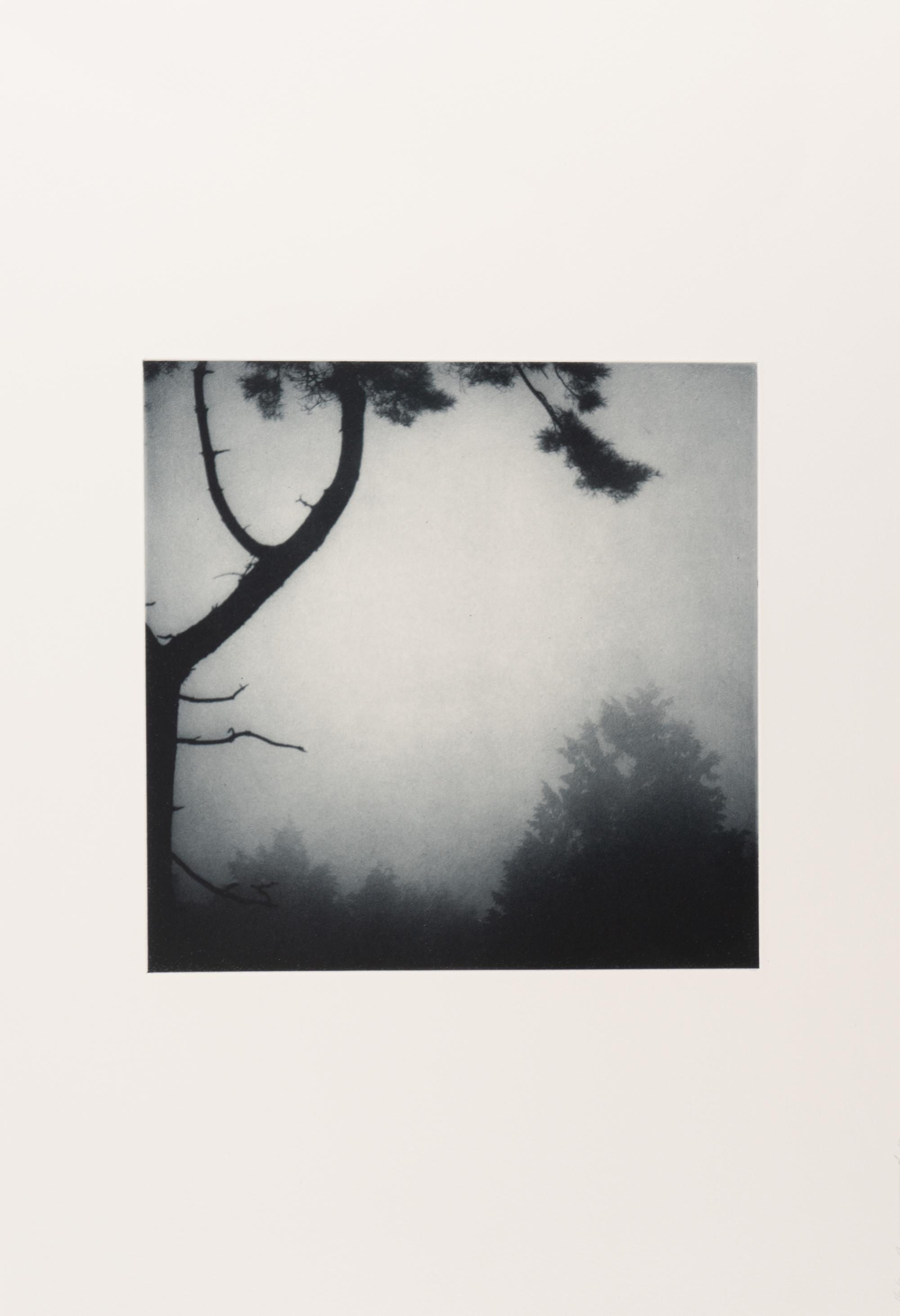 Darren Almond (b. 1971) Civil Dawn #1, 2012