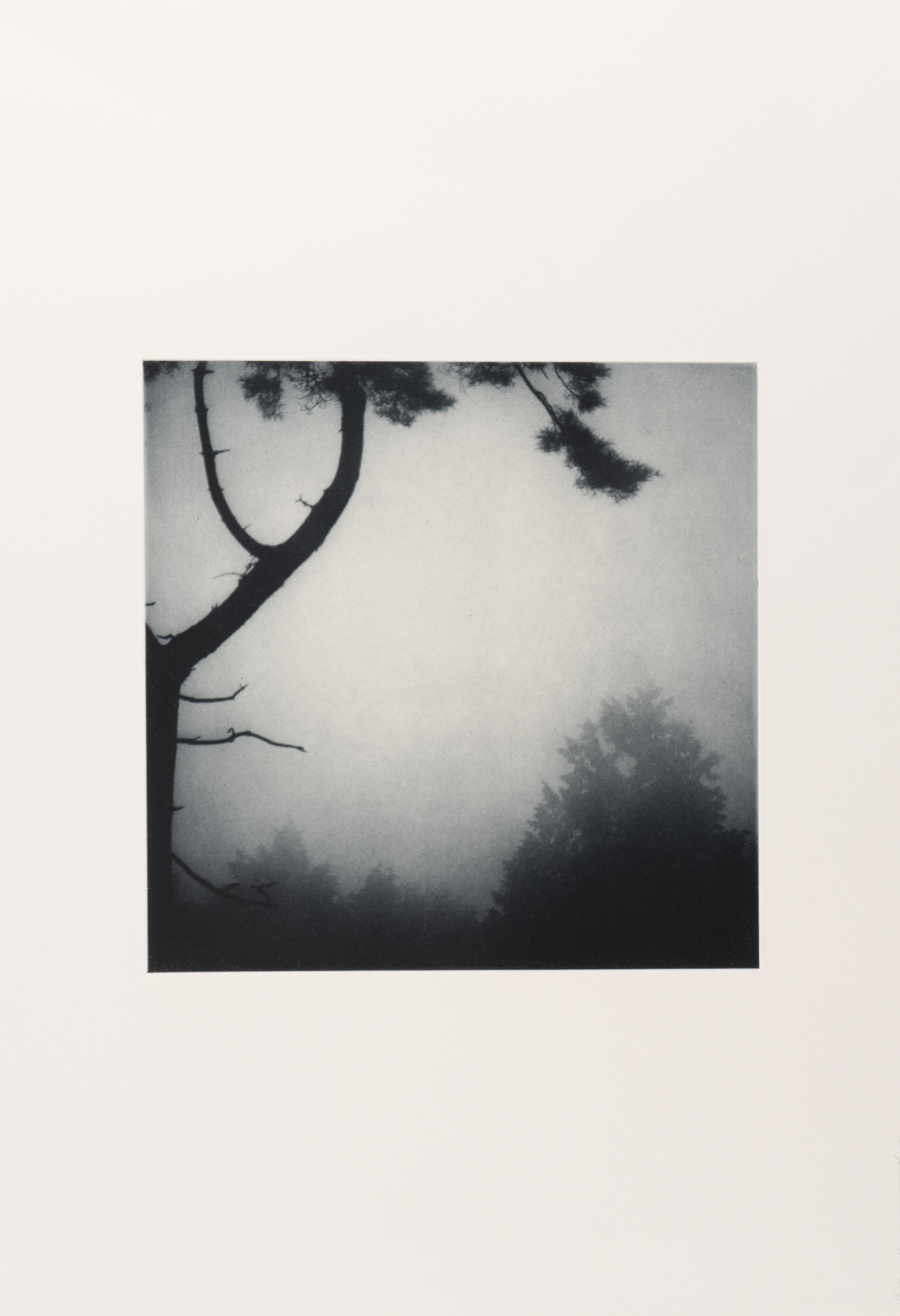 Darren Almond (b. 1971) Civil Dawn #1, 2012