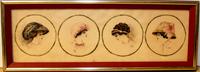 A Framed Milliner's Illustration. 5 1/2 x 15 inches (framed).