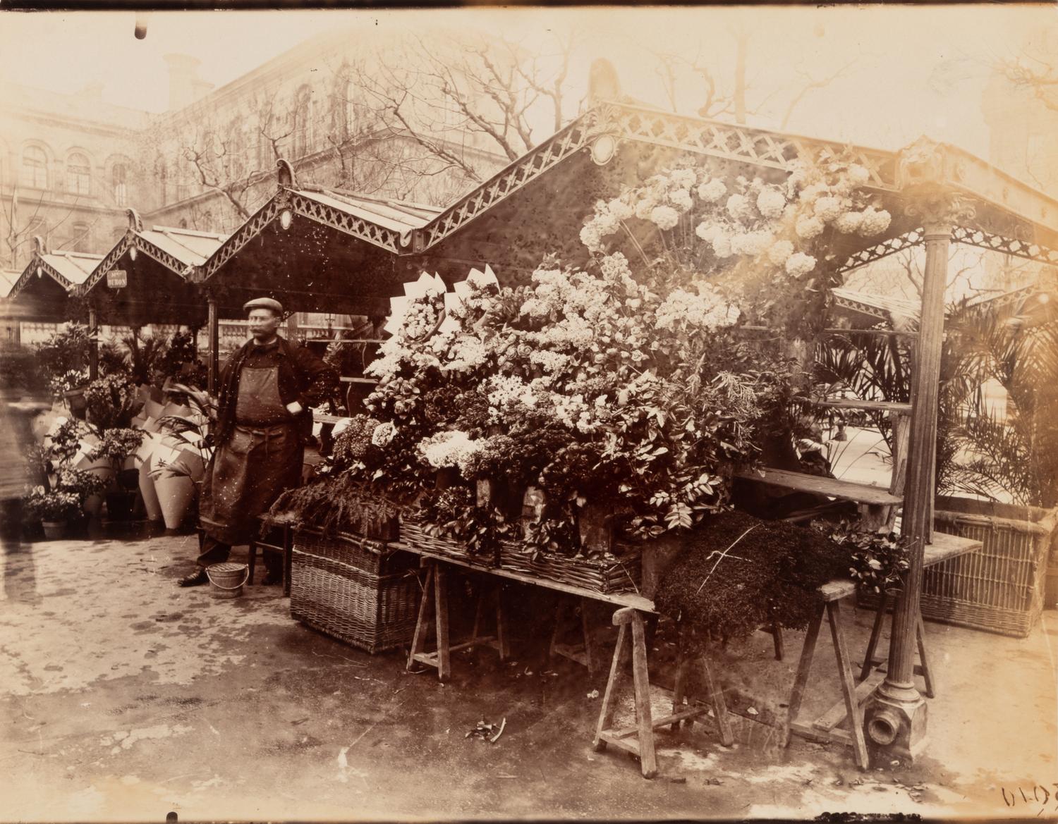 A pair of photographs ( Marché aux fleurs , circa 1900s ; Colonne Moris (Place Saint Sulpice) , 1910)