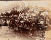 A pair of photographs ( Marché aux fleurs , circa 1900s ; Colonne Moris (Place Saint Sulpice) , 1910)