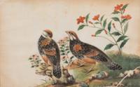 Six Chinese Export Pith Paintings