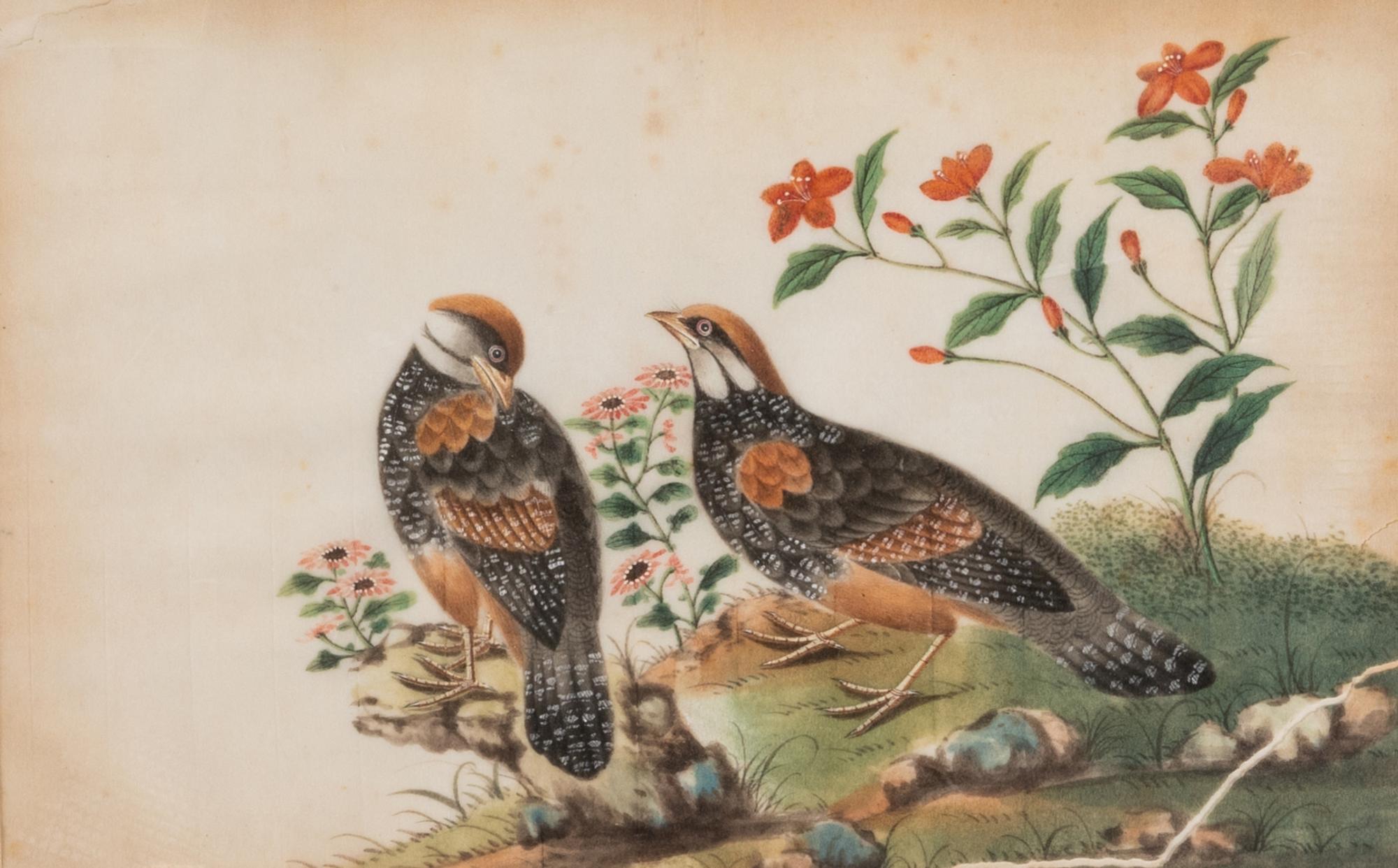 Six Chinese Export Pith Paintings