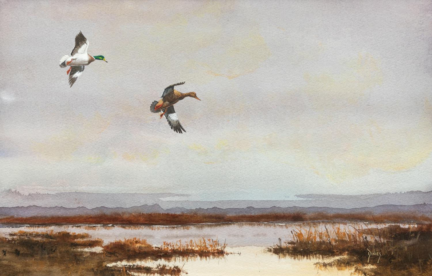 Delta Country Ducks