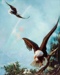 Eagles on the Southfork