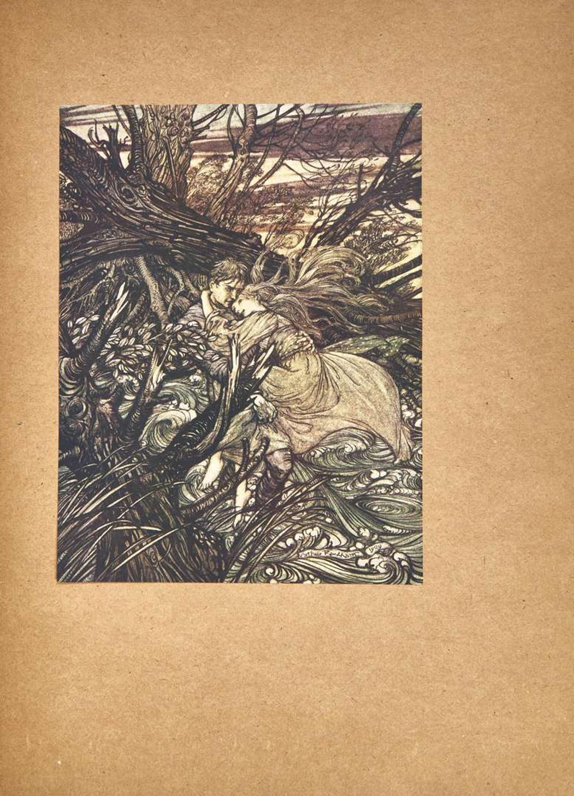 [Children's & Illustrated] [Rackham, Arthur] Fouque, (Friedrich) de la Motte: Undine