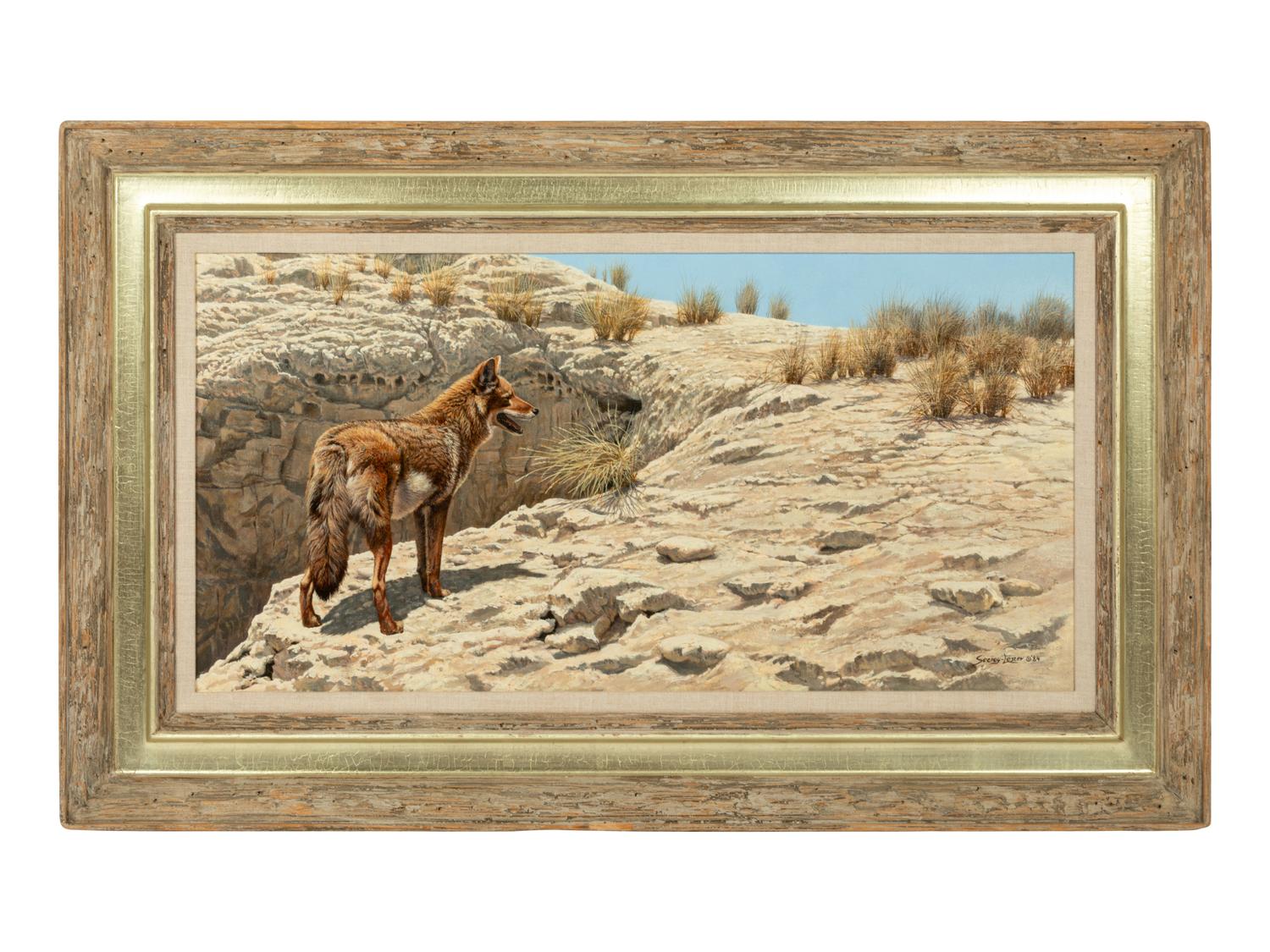 Desert Scavenger - Coyote , 1984