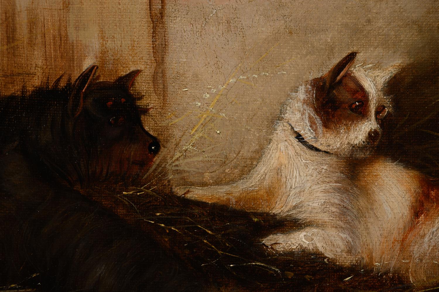 George Armfield (British, 1808-1893)