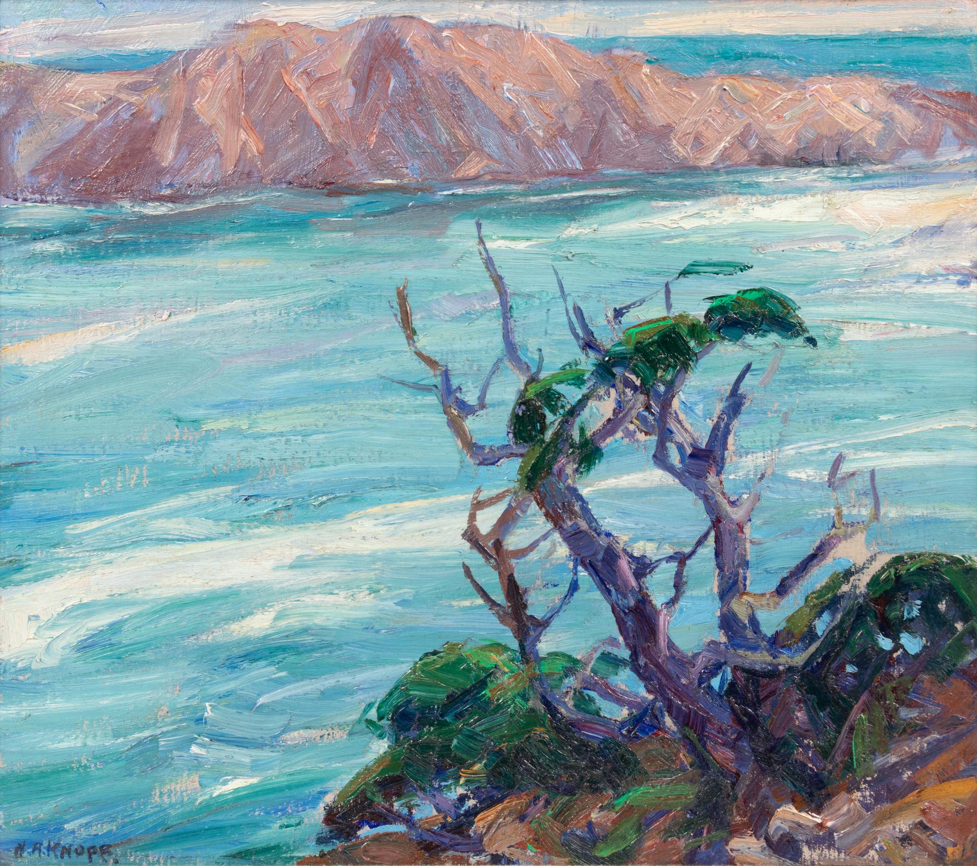 Off Point Lobos, Carmel, California