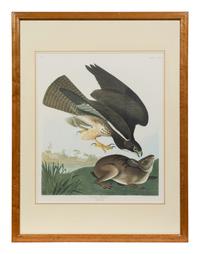 After John James Audubon (American, 1785-1851)